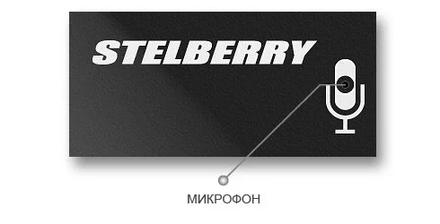 Лицевая сторона микрофона