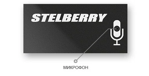 Лицевая сторона микрофона