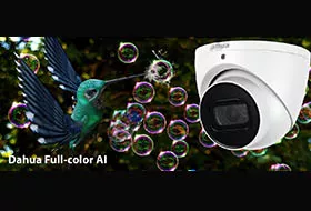 Dahua Full-color AI – насыщенный цвет и точность деталей даже в сумерках