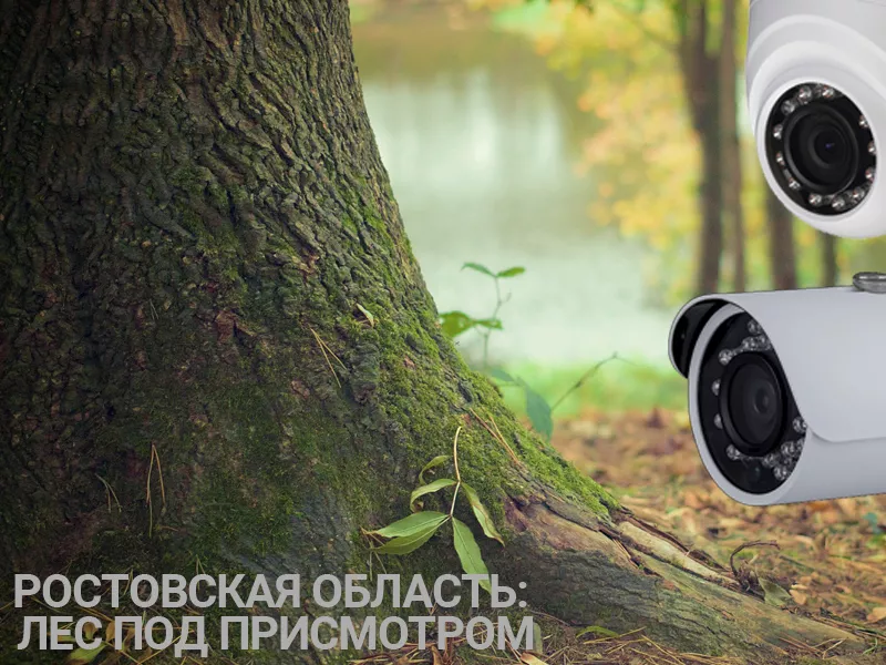 Леса Ростовской области могут быть оснащены камерами видеонаблюдения Леса Ростовской области могут быть оснащены камерами видеонаблюдения