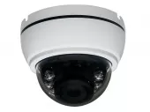 Купить купольную камеру видеонаблюдения AHD AltCam DDV21IR