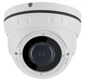 Купить IP видеокамеру AltCam IDMV52IR
