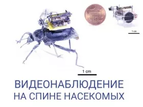 Жуки-шпионы с системой камер на «борту»